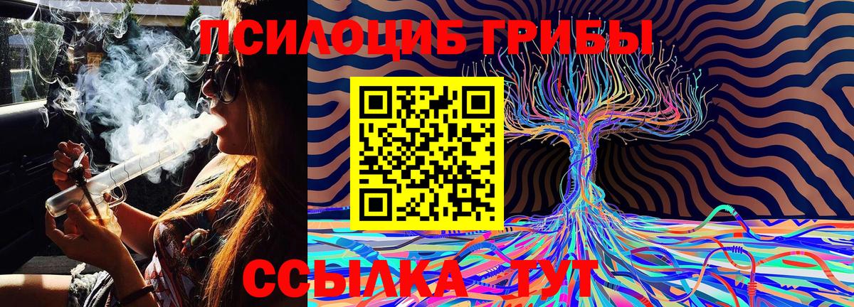 Псилоцибиновые грибы Magic Shrooms Нурлат