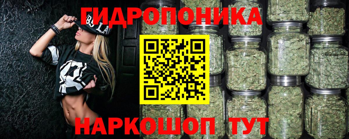 Марихуана тримм  Бошки марихуана OG Kush  Нурлат  Вход с VPN  Конопля Ganja  Конопля OG Kush 